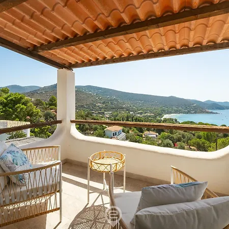 Seaview Dream