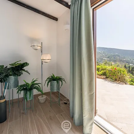 Seaview Dream * 托雷德尔斯泰尔