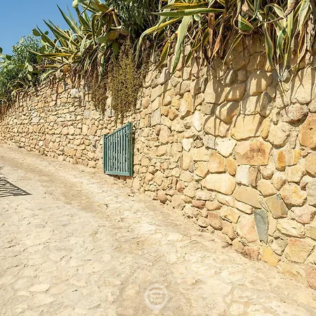 Seaview Dream 托雷德尔斯泰尔