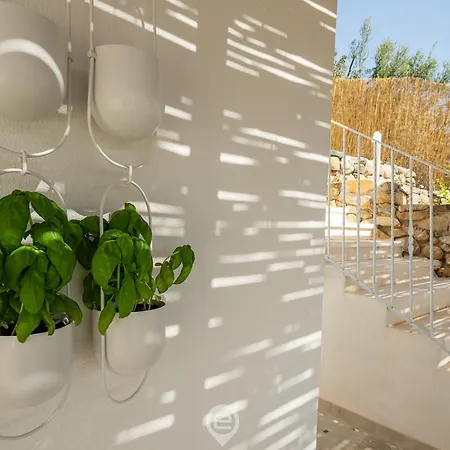 别墅 Seaview Dream *