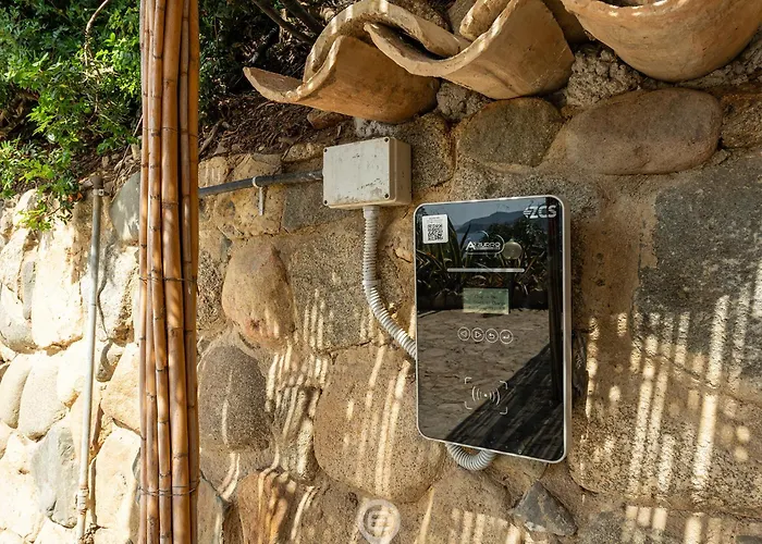 Seaview Dream Willa *